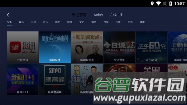 云听车机版apk安装包截图1