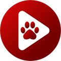 Bear Player播放器手机版v2.20.19