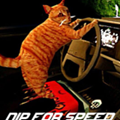 猫司机驾驶冒险v13.1