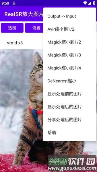 RealSR图片放大最新版截图4