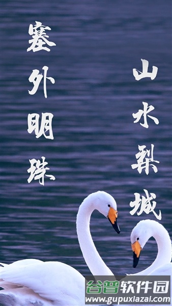 库尔勒好地方app官方版截图3