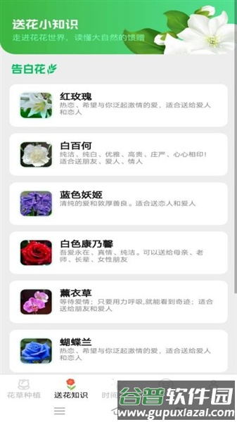 花草多点app截图2