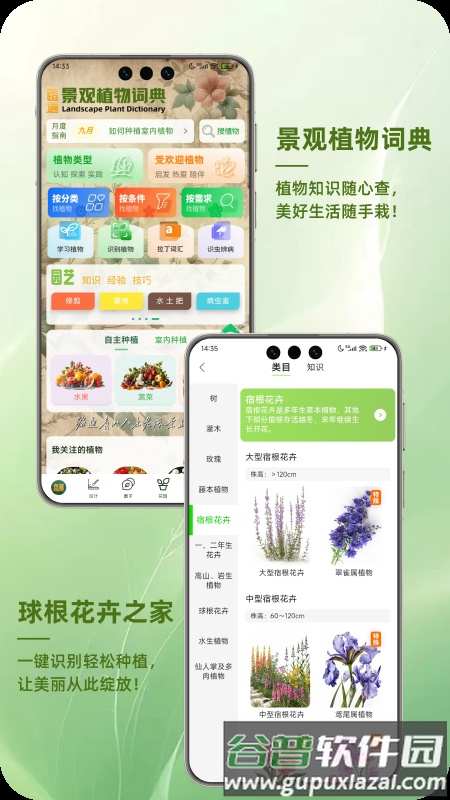踏遍景观植物词典手机版截图2