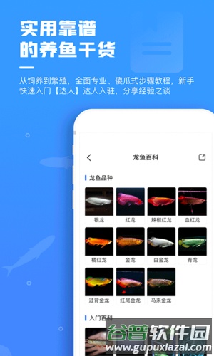 鲲天下安卓版截图2