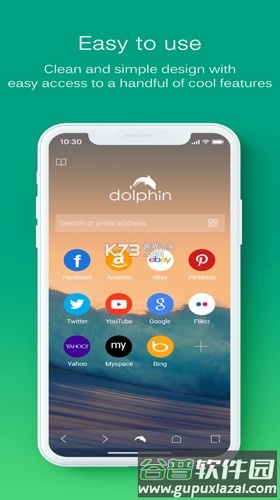 海豚浏览器国际服截图3