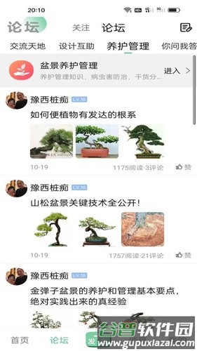千盆网最新版截图1