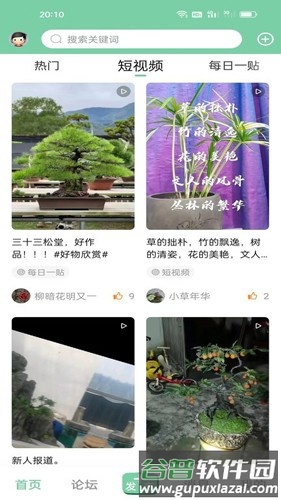 千盆网最新版截图2