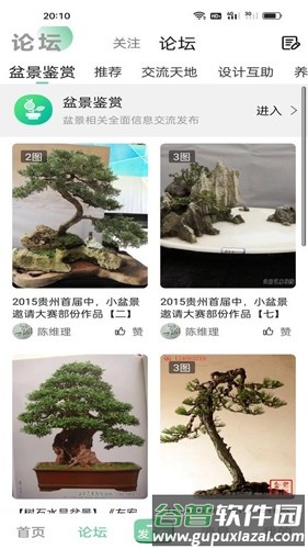 千盆网最新版截图3