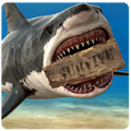 救生筏最终章v10.2.3