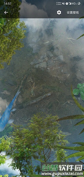 鱼池动态壁纸完整版截图1