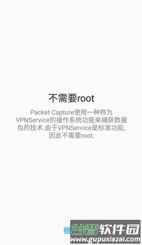 PacketCapture安卓版截图2