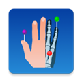 eAnatomy官方正版v7.4.15
