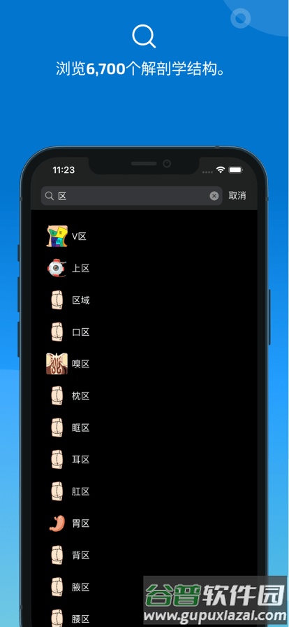 eAnatomy官方正版截图1
