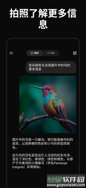 grok4.1官方最新版本截图2