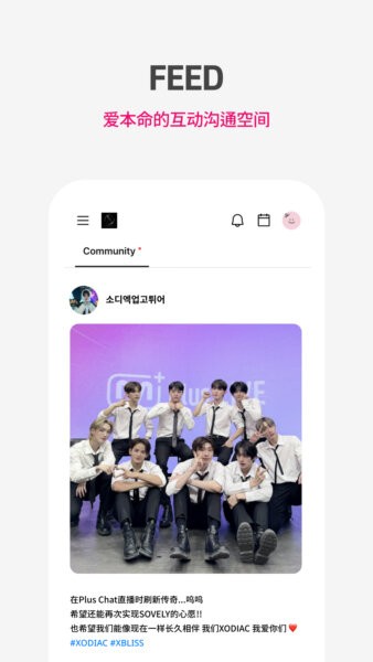pluschat2025年最新安装包截图2