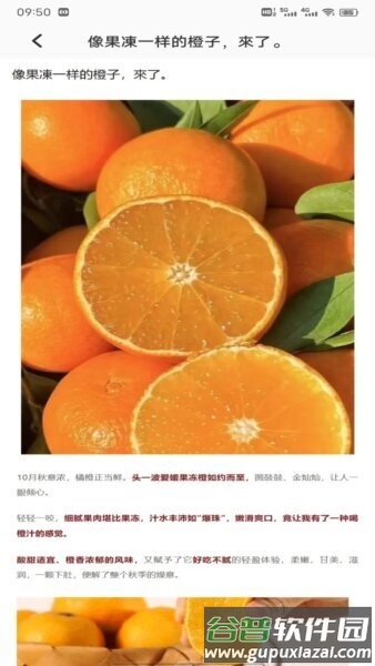 发财橙子赚钱官方正版截图2