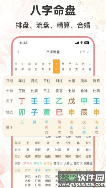 八字排盘助手(免费版)截图2