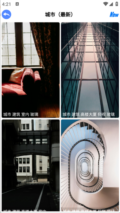 波奇壁纸高清版截图1