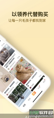 小萌猫app截图2