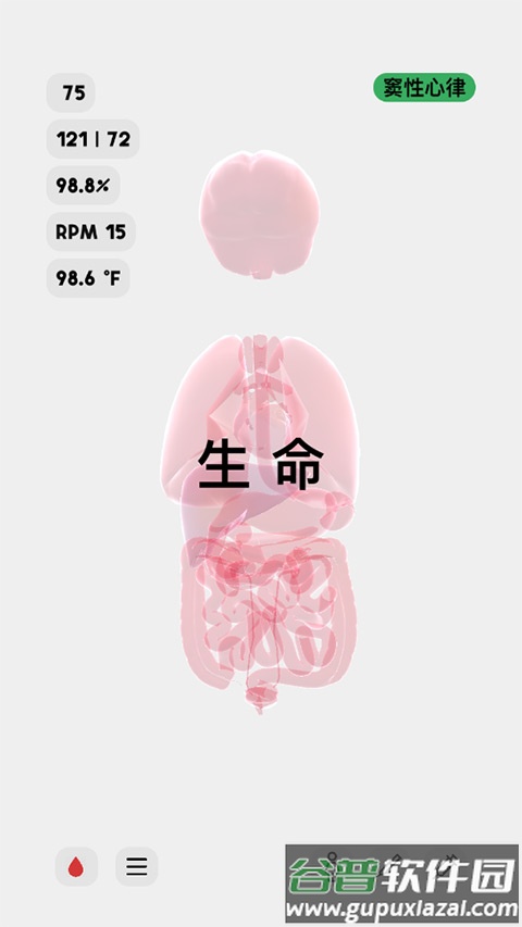 生命人体模拟器life汉化版截图3