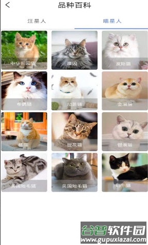 宠物知识全书app截图2