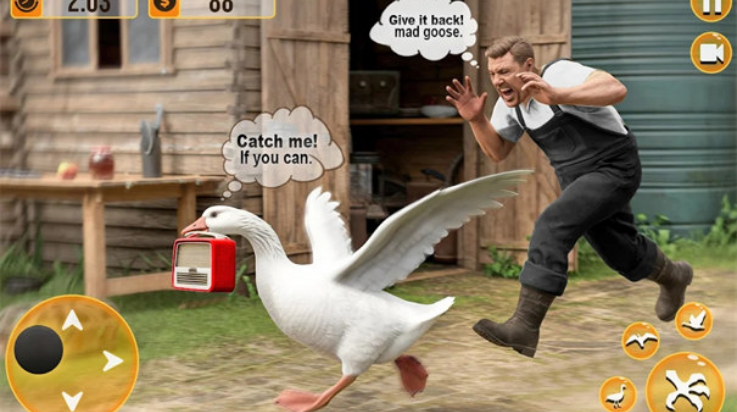 鸭子游戏3D鹅模拟器(Duck Game 3d: Goose Simulator)截图4