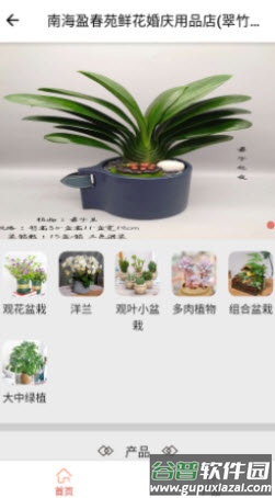 花满家app鲜花商店截图2