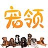 宠领appv2.0