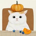 收纳物语最新版下载v1.0