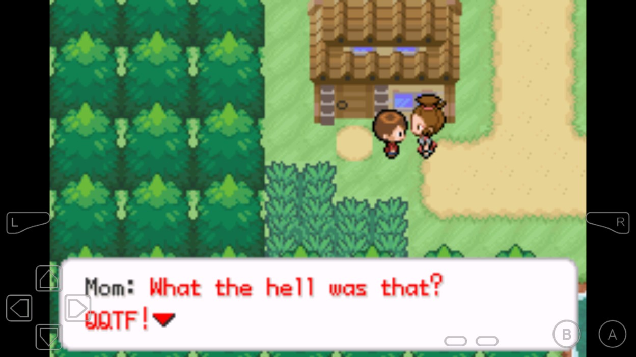 口袋妖怪赛义夫游戏截图2