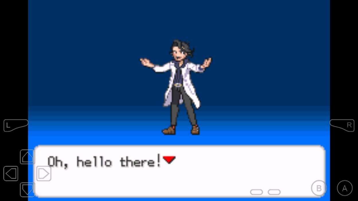 口袋妖怪赛义夫游戏截图3