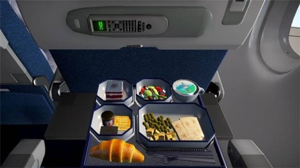 经济舱模拟器(Airplane Mode)截图2