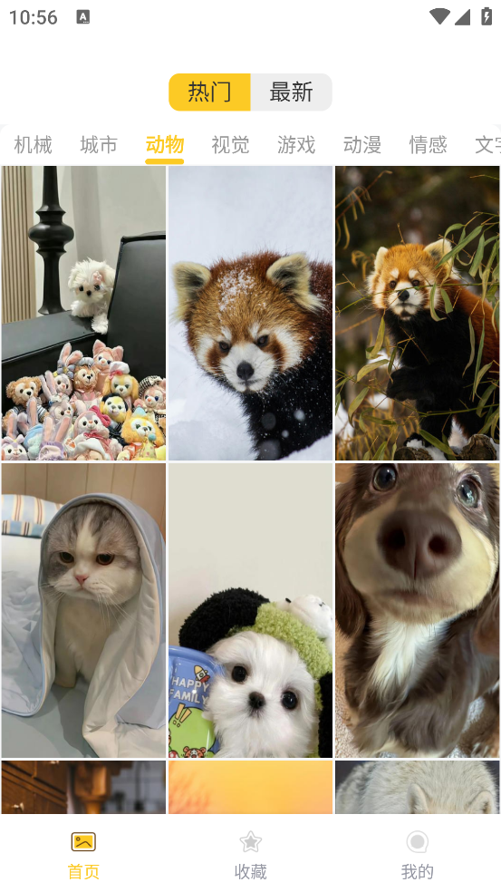 炫动次元壁纸app截图2