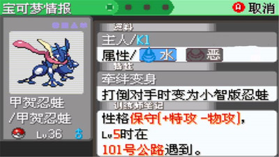 口袋妖怪：刽曜之影游戏截图4