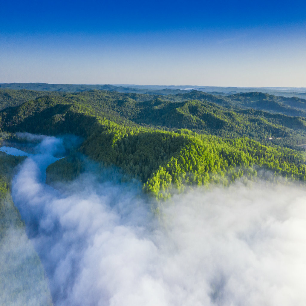 魅力汤旺appv3.6.1