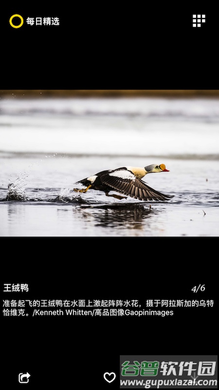 每日精选app截图3