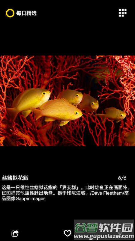 每日精选app截图4