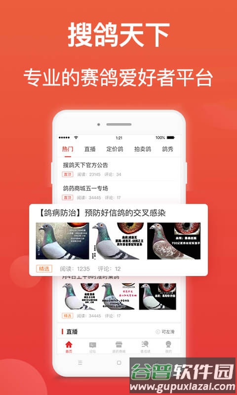 赛鸽头条下载安装截图1