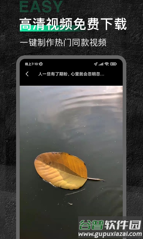 今日素材app截图2