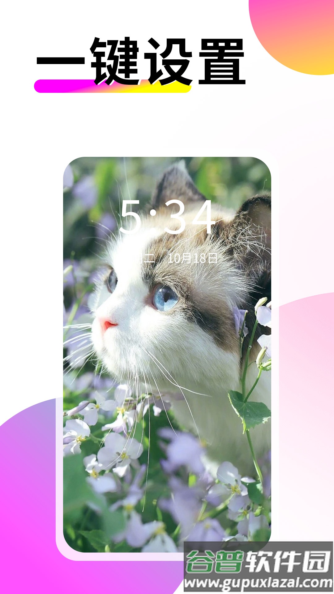 壁纸酷酷软件下载安装截图2