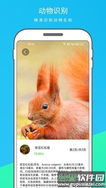 万物识别王免费版截图2