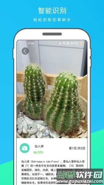 万物识别王免费版截图4