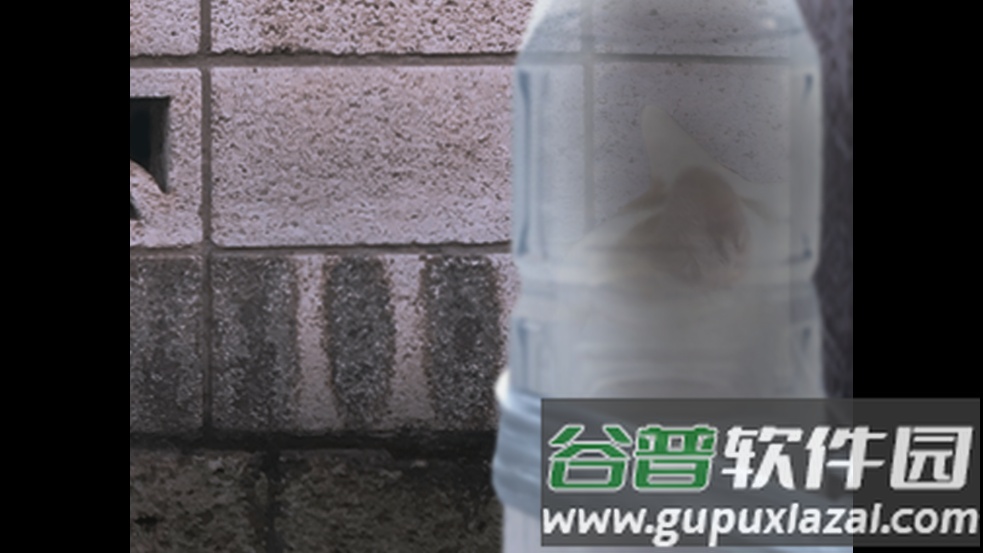 翌日猫之怪奇谭手游截图1