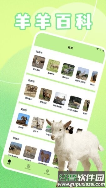 ticpic最新版本(改名羊羊多福)截图1