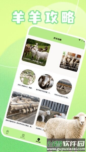 ticpic最新版本(改名羊羊多福)截图2