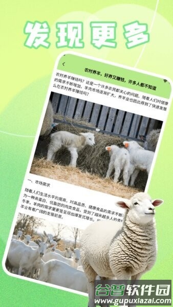 ticpic最新版本(改名羊羊多福)截图3