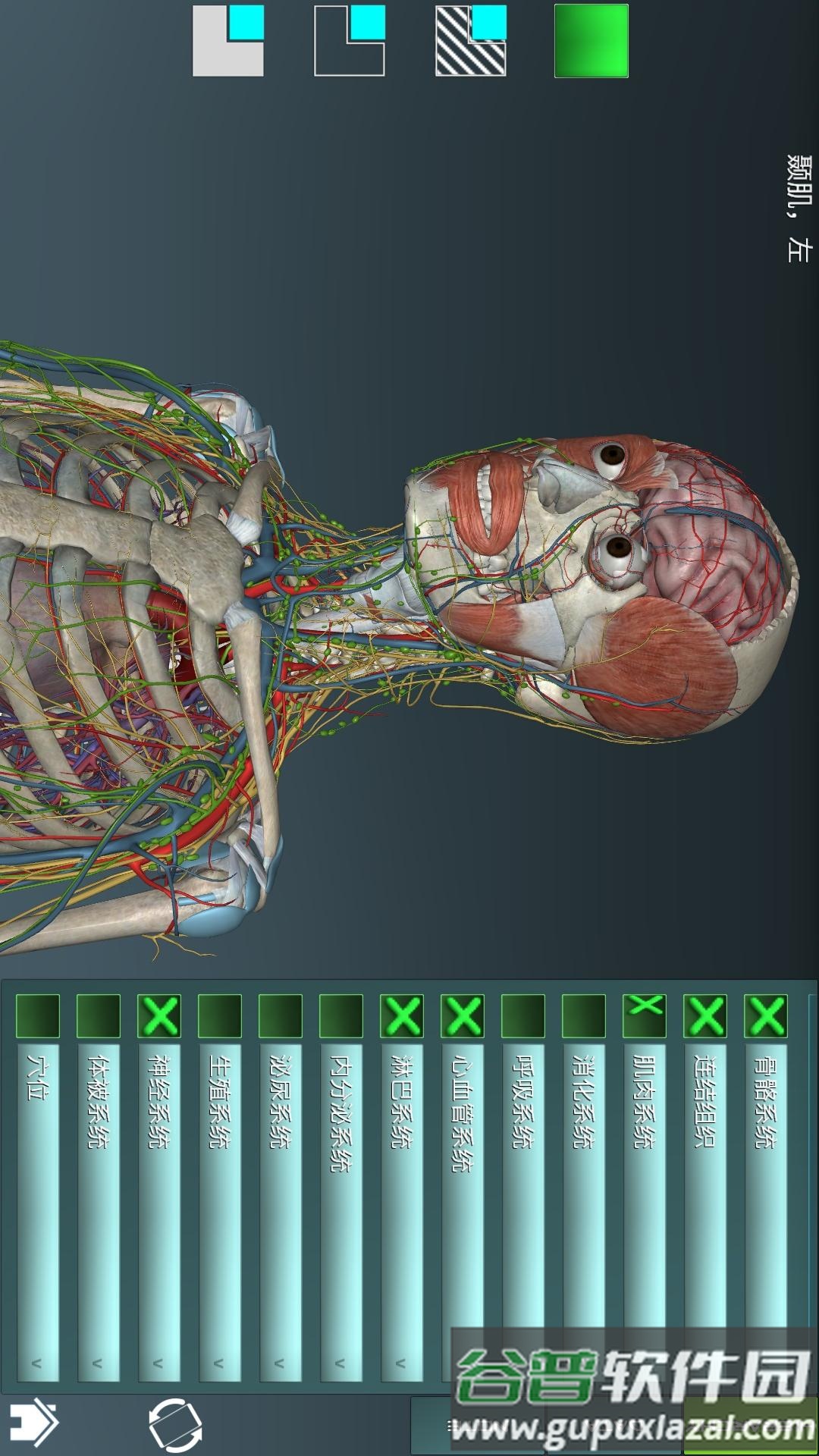 人体解剖学图集app截图4