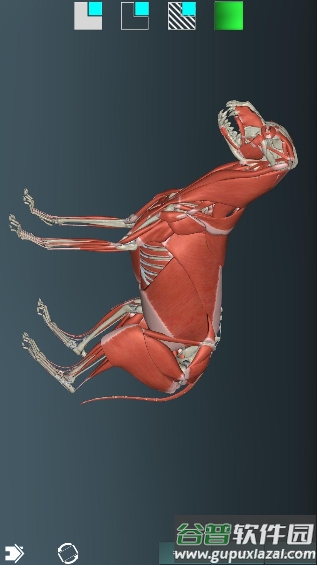 人体解剖学图集app截图5