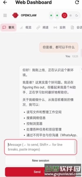 OpenClaw中文版截图3