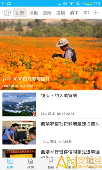 掌上曲靖客户端截图3